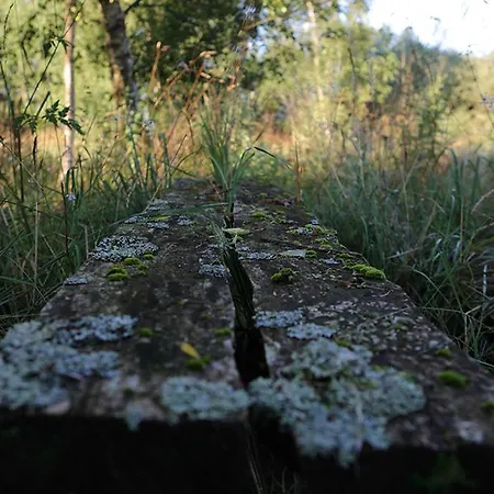 Kaszubska Rotunda - Prázdninový dům Jelenska Huta